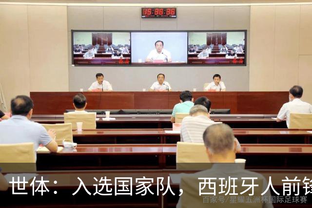 世体：入选国家队，西班牙人前锋R·费尔南德斯解约金升至3000万