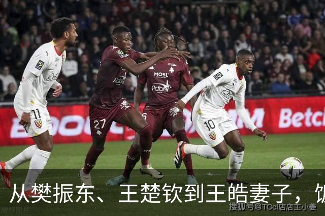 从樊振东、王楚钦到王皓妻子，饭圈这颗毒瘤，该治治了
