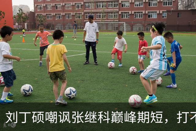刘丁硕嘲讽张继科巅峰期短，打不过别人就退役，邓亚萍曾反问：刘丁硕是谁 没听说过