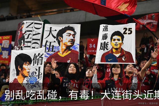 别乱吃乱碰，有毒！大连街头近期大量出现……