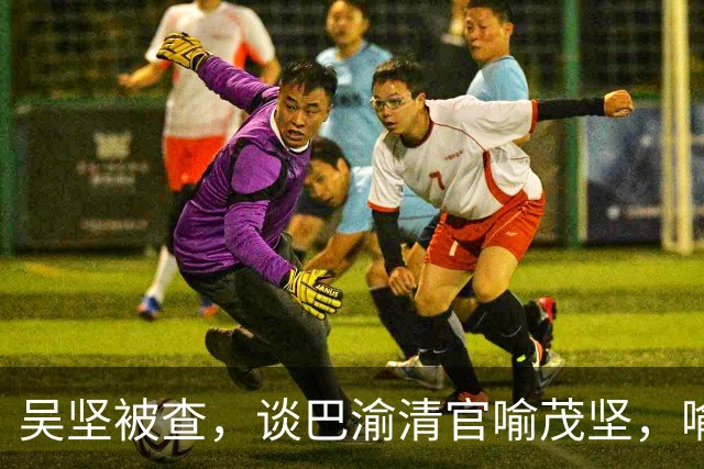 吴坚被查，谈巴渝清官喻茂坚，喻氏后人322人考取功名无一人贪腐