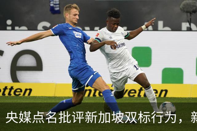 央媒点名批评新加坡双标行为，新加坡防长：中国要以德服人