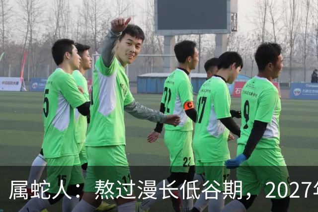 属蛇人：熬过漫长低谷期，2027年日子慢慢回暖福气自来