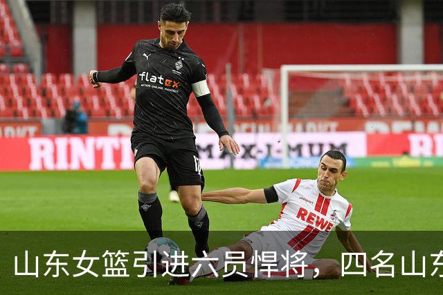 山东女篮引进六员悍将，四名山东籍，不只剑指总冠军，更着眼王朝