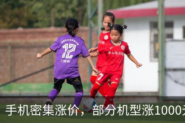 手机密集涨价，部分机型涨1000元