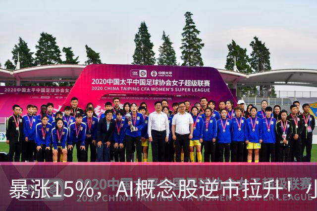 暴涨15%，AI概念股逆市拉升！小米、百度、阿里、京东，集体下跌
