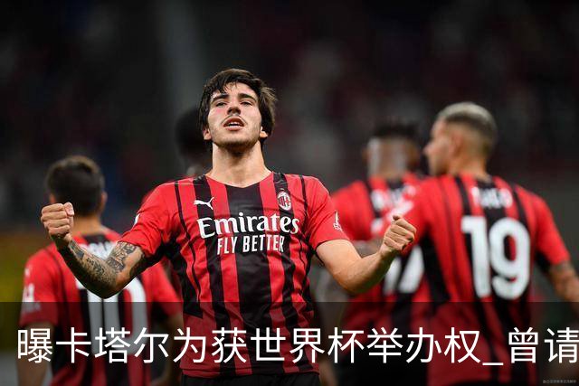 曝卡塔尔为获世界杯举办权 曾请前CIA特工监听FIFA