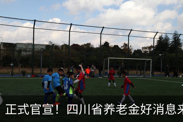 正式官宣！四川省养老金好消息来了，每月普涨30元，80岁以上增发