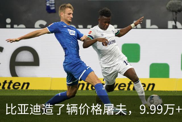 比亚迪造了辆"价格屠夫"，9.99万+220km纯电
