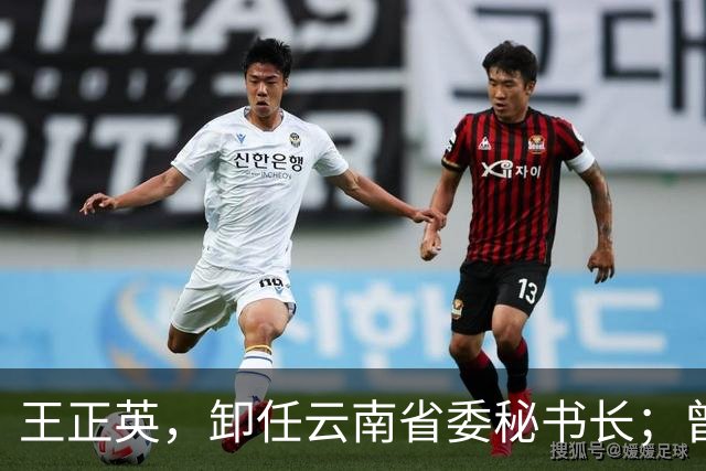 王正英，卸任云南省委秘书长；曾任云南省发改委副主任，云南省能源局局长等职