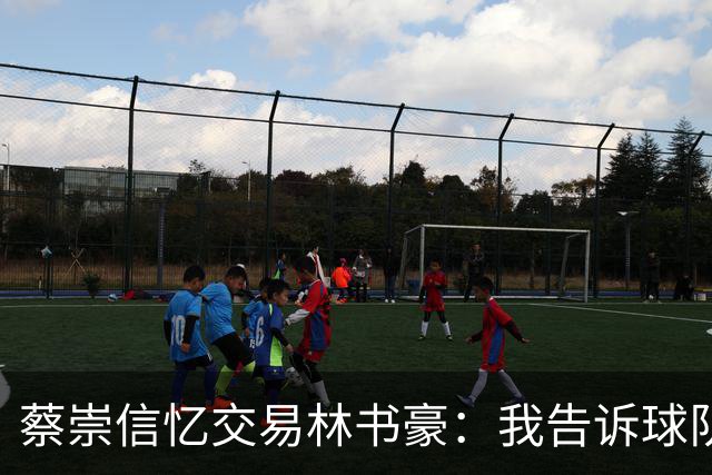 蔡崇信忆交易林书豪：我告诉球队总经理 这么做华人球迷会痛恨我