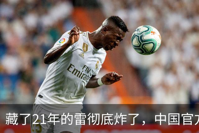 藏了21年的雷彻底炸了，中国官方发全球征缴令，潘石屹躲得掉吗？