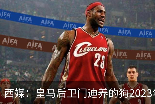 西媒：皇马后卫门迪养的狗2023年伤人一案，将于12月份开庭审理