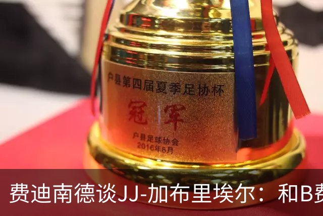 费迪南德谈JJ-加布里埃尔：和B费一起训练就足以让我留队