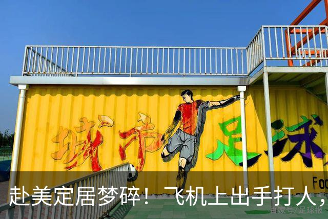 赴美定居梦碎！飞机上出手打人，一家三口刚落地就被遣返