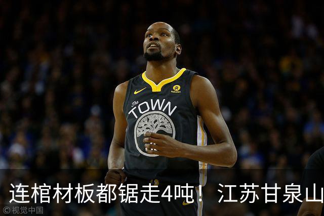 连棺材板都锯走4吨！江苏甘泉山惊天盗案，500件国宝如何追回？