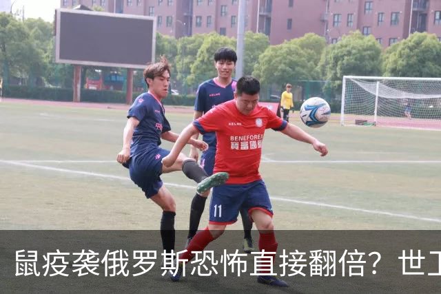 鼠疫袭俄罗斯恐怖直接翻倍？世卫紧急改口，五国边境升级藏三根刺