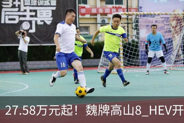 27.58万元起！魏牌高山8 HEV开启预订：搭2.0T油混+四驱