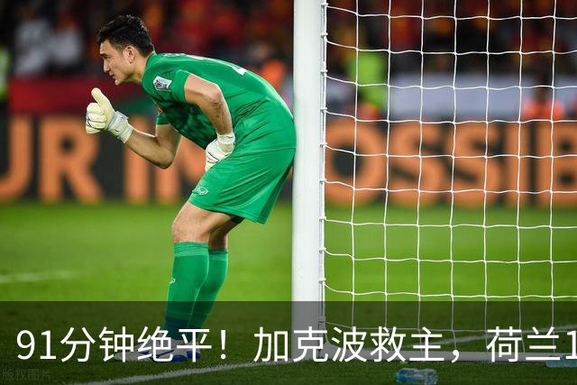 91分钟绝平！加克波救主，荷兰1比1德国